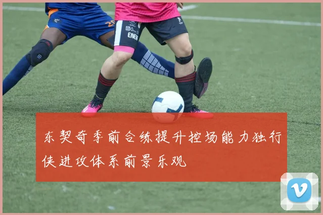 东契奇季前合练提升控场能力独行侠进攻体系前景乐观
